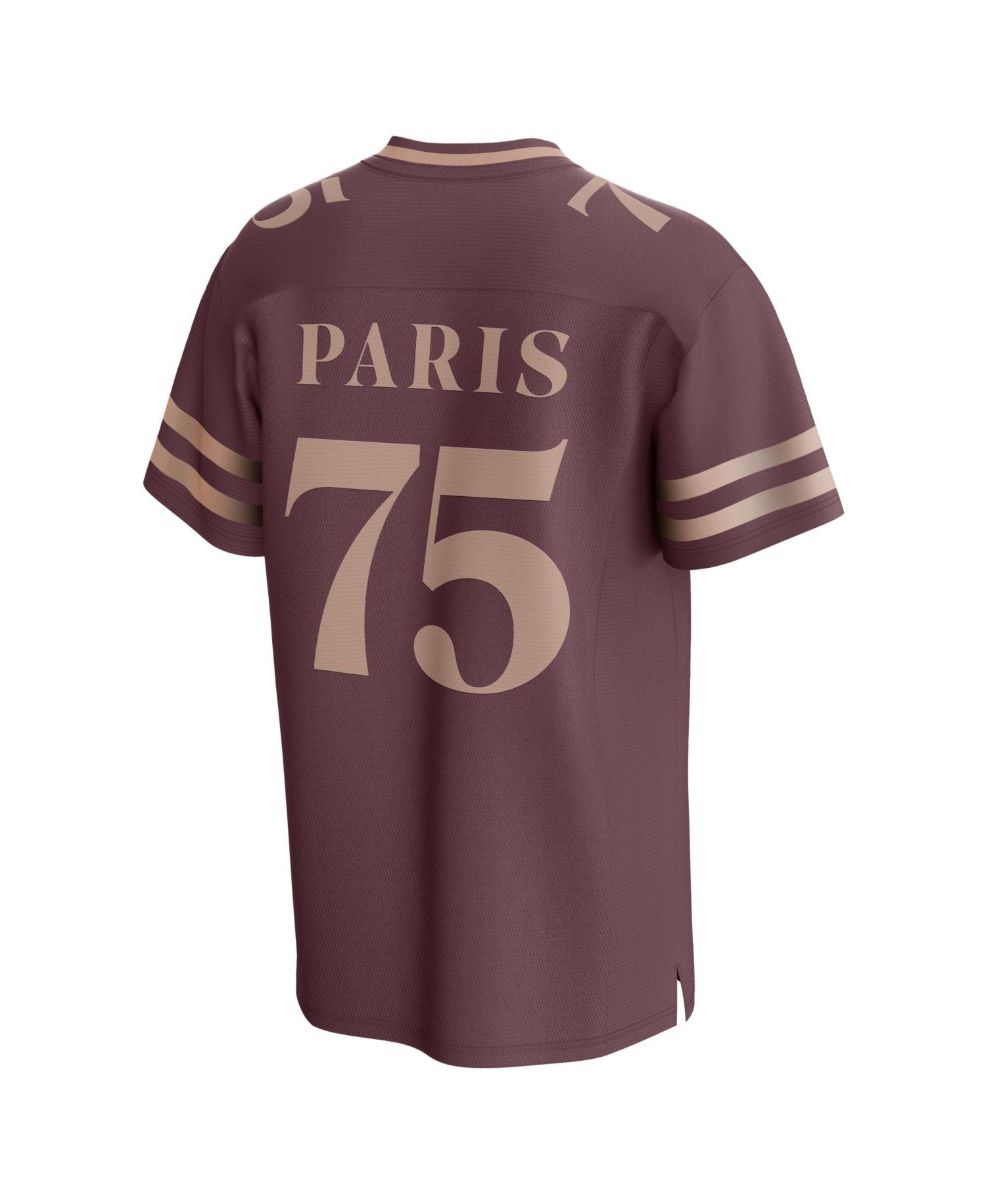 Men's Burgundy Paris Saint-Germain Fashion Mesh Jersey