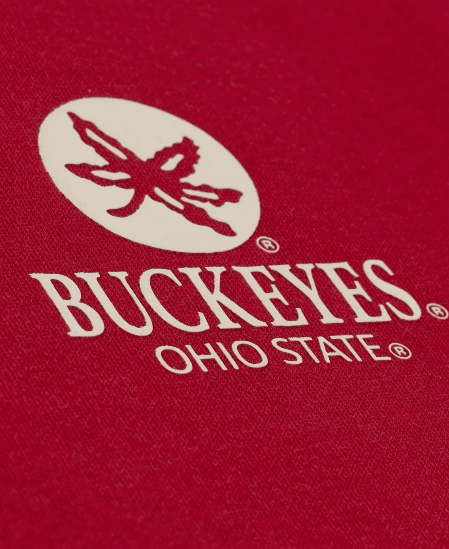 Men's Scarlet Ohio State Buckeyes Core Icon Fleece Hoodie