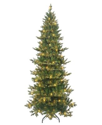 6.5' Pre-Lit Slim Royal Majestic Douglas Fir Downswept Christmas Tree