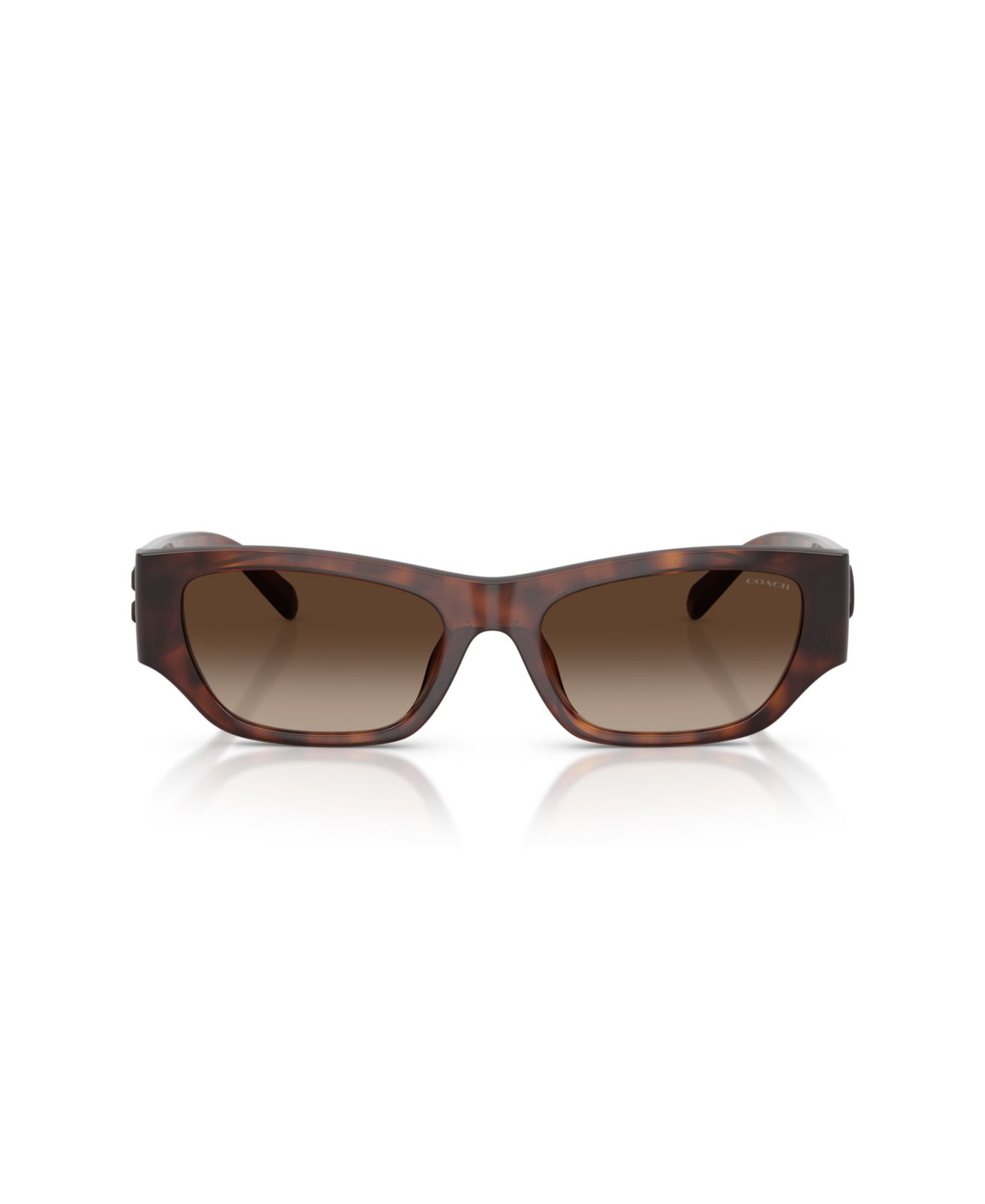 Polarized Cat-Eye Sunglasses HC8470D
