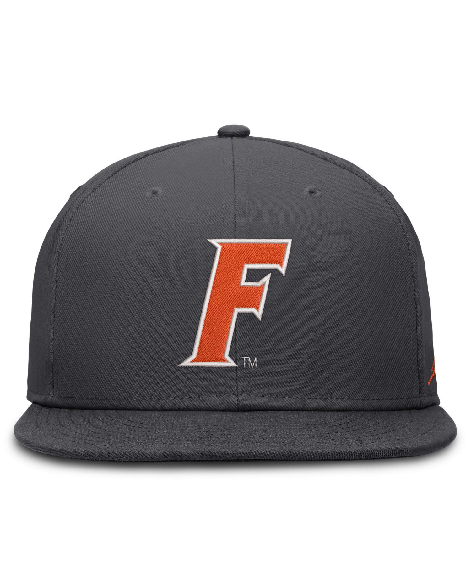 Men's Anthracite Florida Gators Pro Dri-FIT Fitted Hat