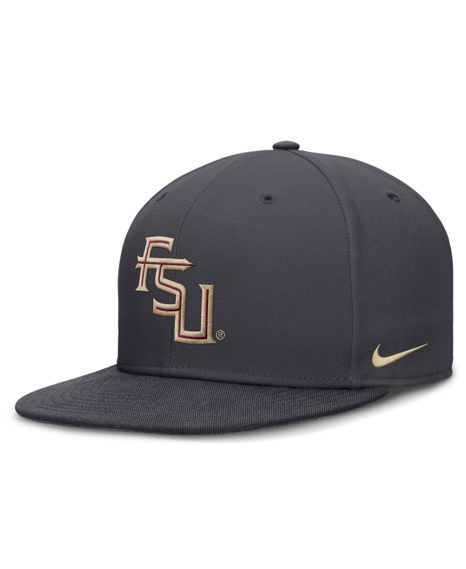 Men's Anthracite Florida State Seminoles Pro Dri-FIT Fitted Hat