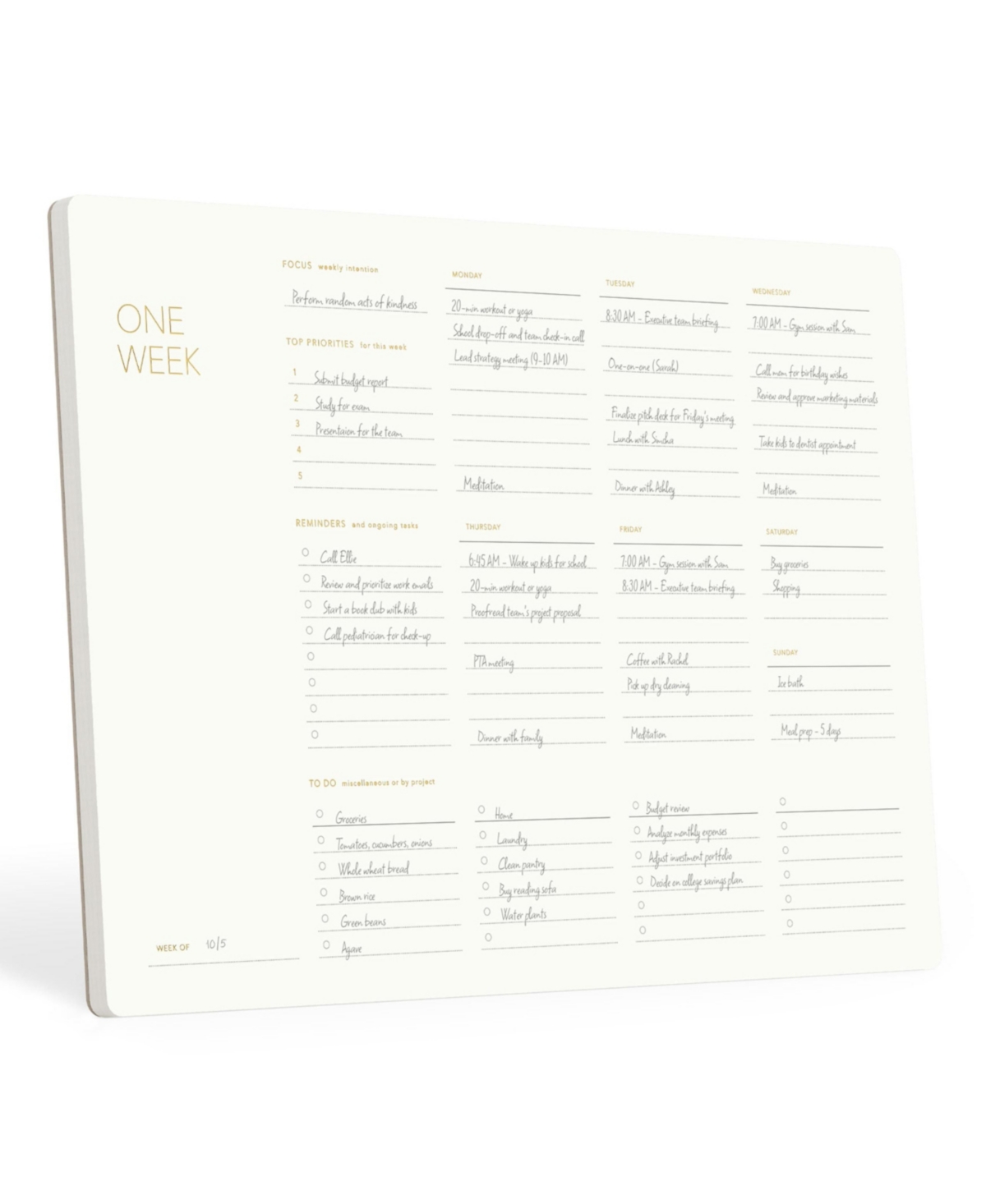 Four Candies Undated Daily Planning Notepad With Gold Foil Structured Sections Tear Off Sheets