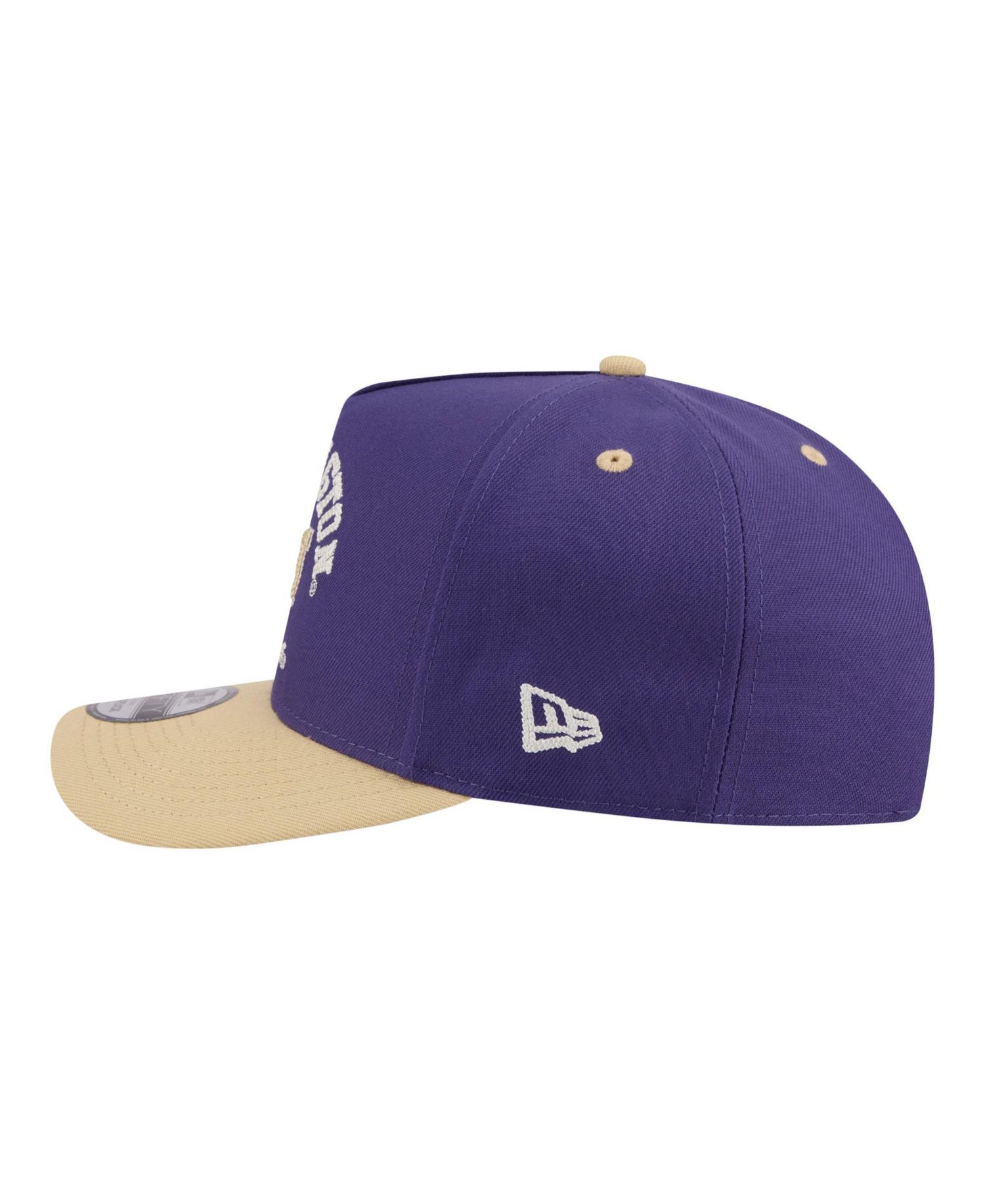 Men's Purple/Gold Washington Huskies Two-Tone Arched 9FIFTY Snapback Hat