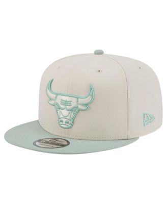 Men's Cream/Light Green Chicago Bulls Color Pack 9FIFTY Snapback Hat
