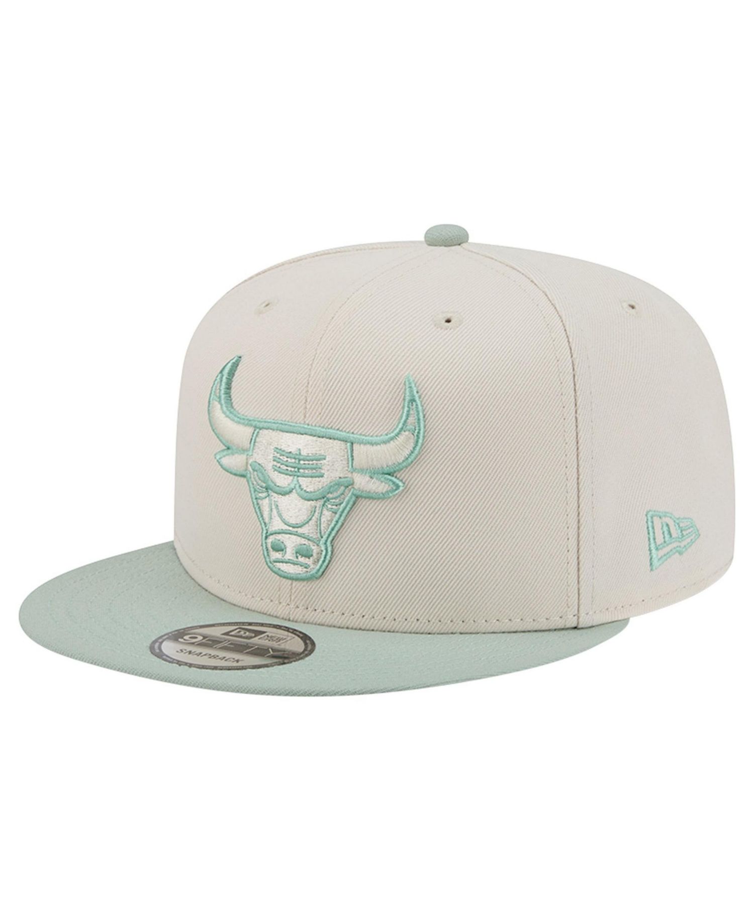 Men's Cream/Light Green Chicago Bulls Color Pack 9FIFTY Snapback Hat