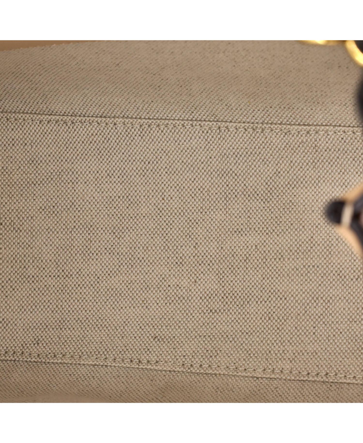 Small Diana NM Bamboo Handle Tote Leather