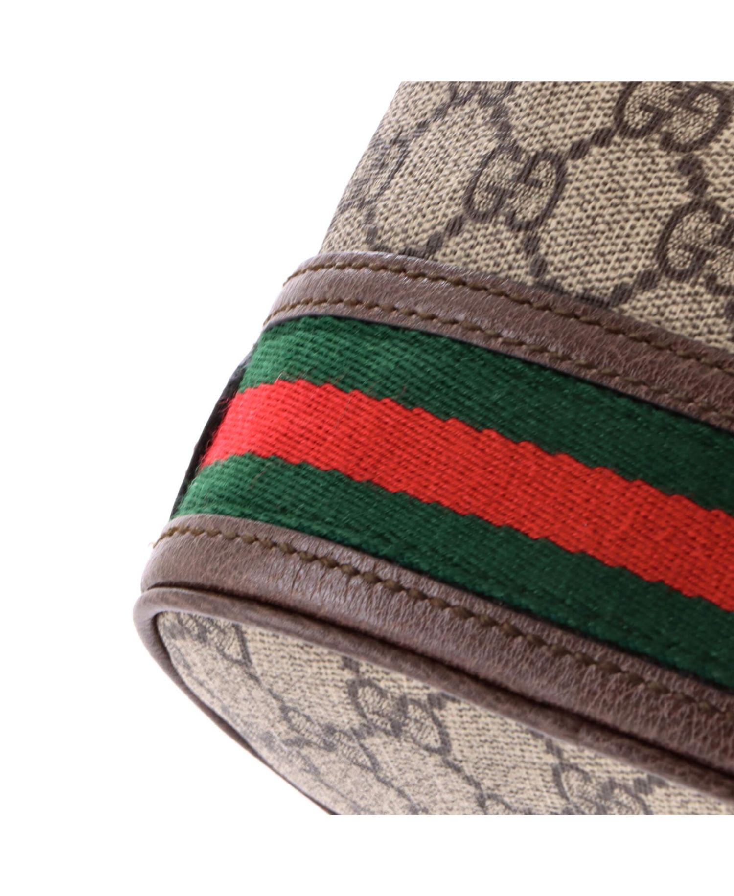 Mini Ophidia Crossbody Coated Canvas Bucket Bag