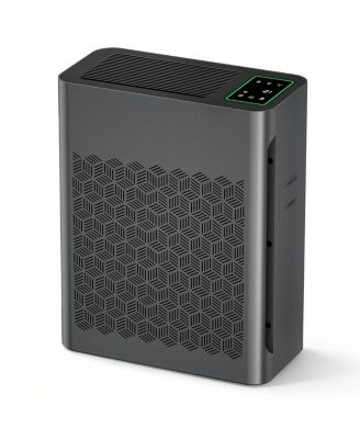 HEPA Air Purifier for Large Rooms and Pet Homes