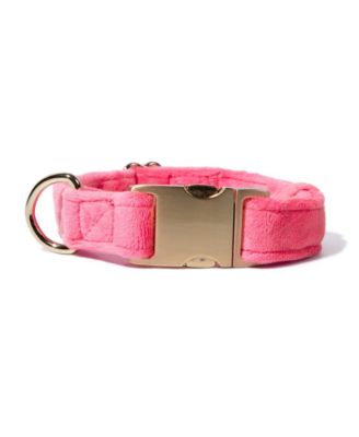 Dog Collar