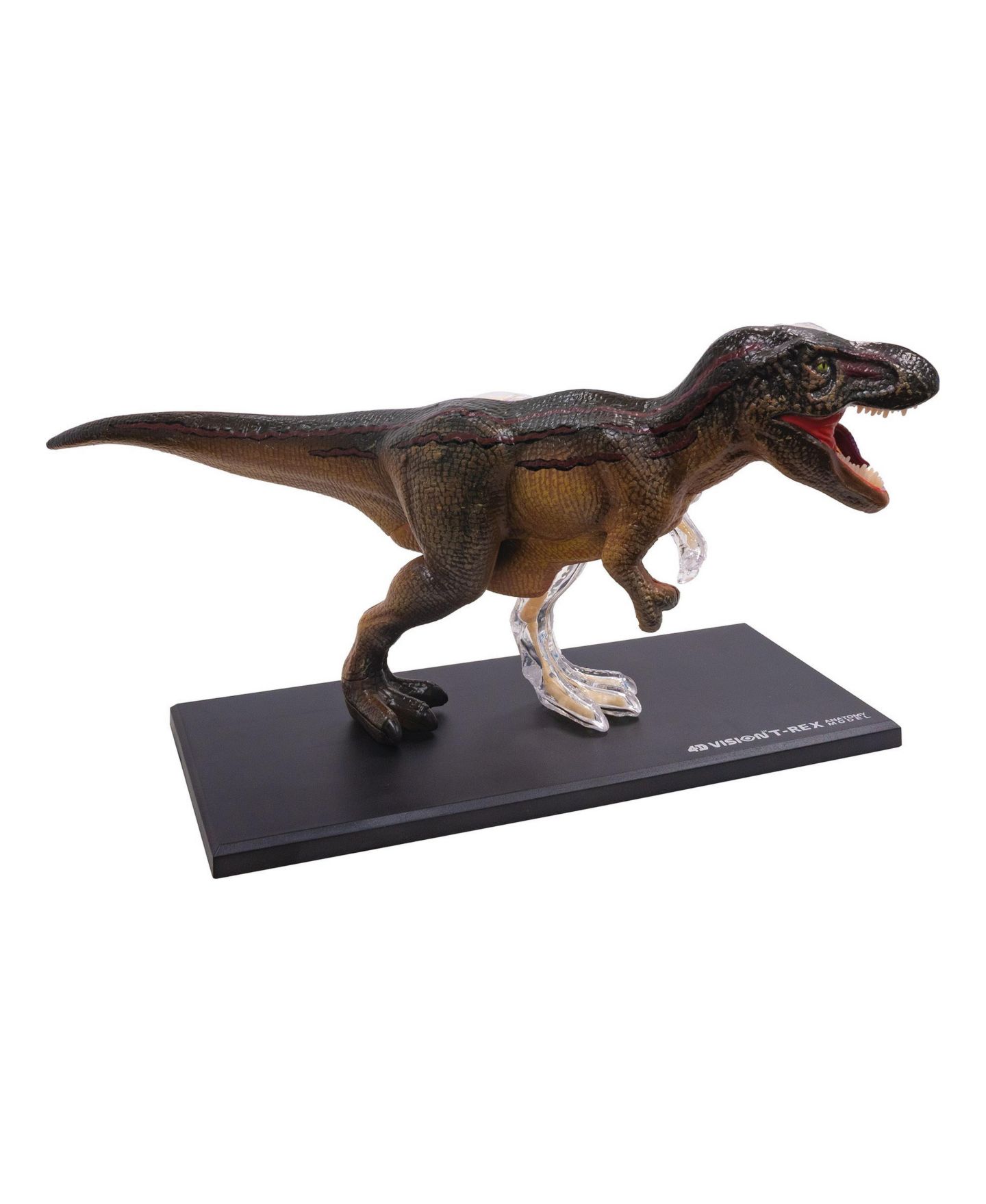 Детские игрушки University Games 4D Vision T-Rex Anatomy Model, 36-Piece Science Kit, от 8 лет, цвет: Серый — фото 2
