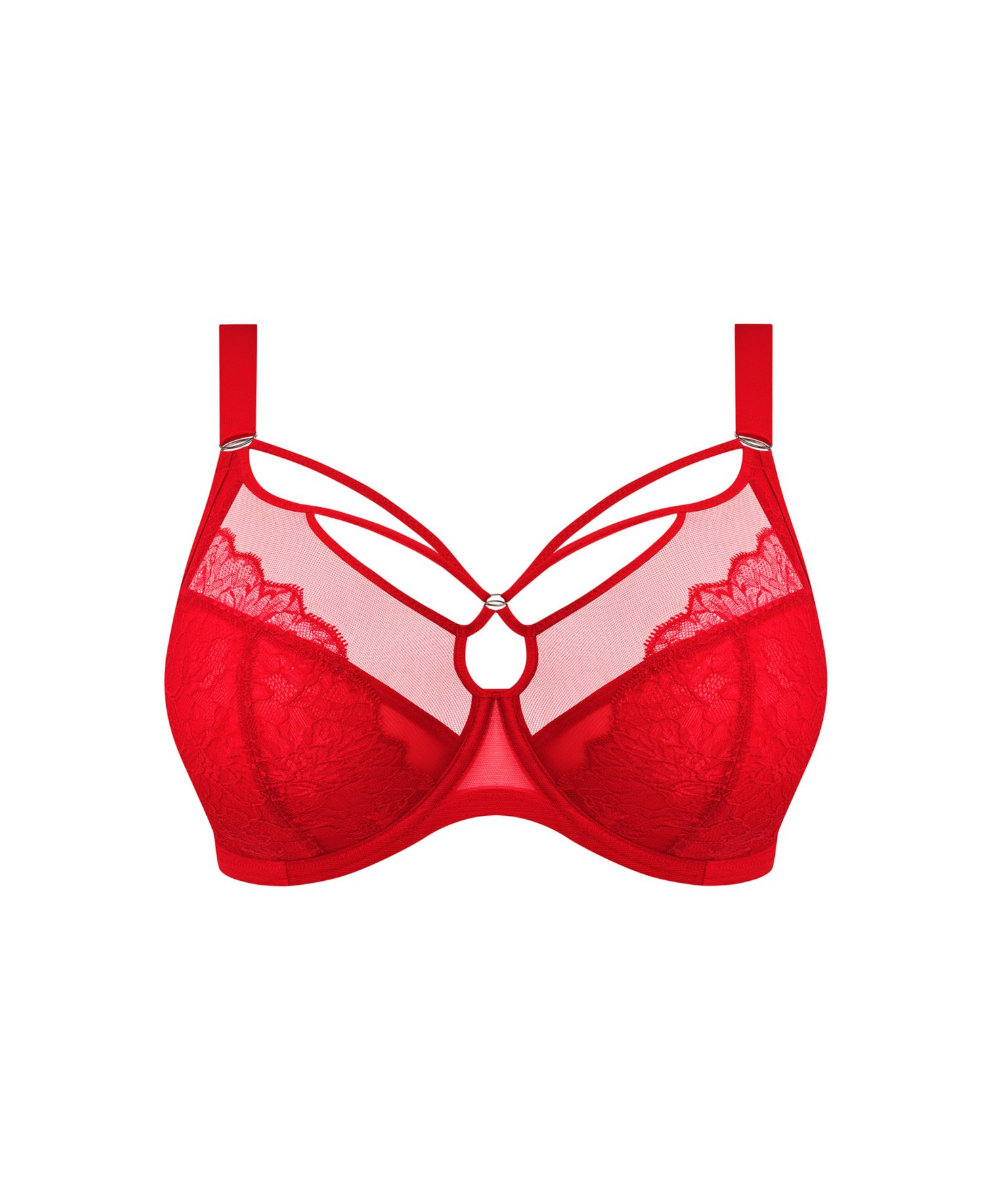 Plus Size Brianna Underwire Plunge Full-Coverage Bra