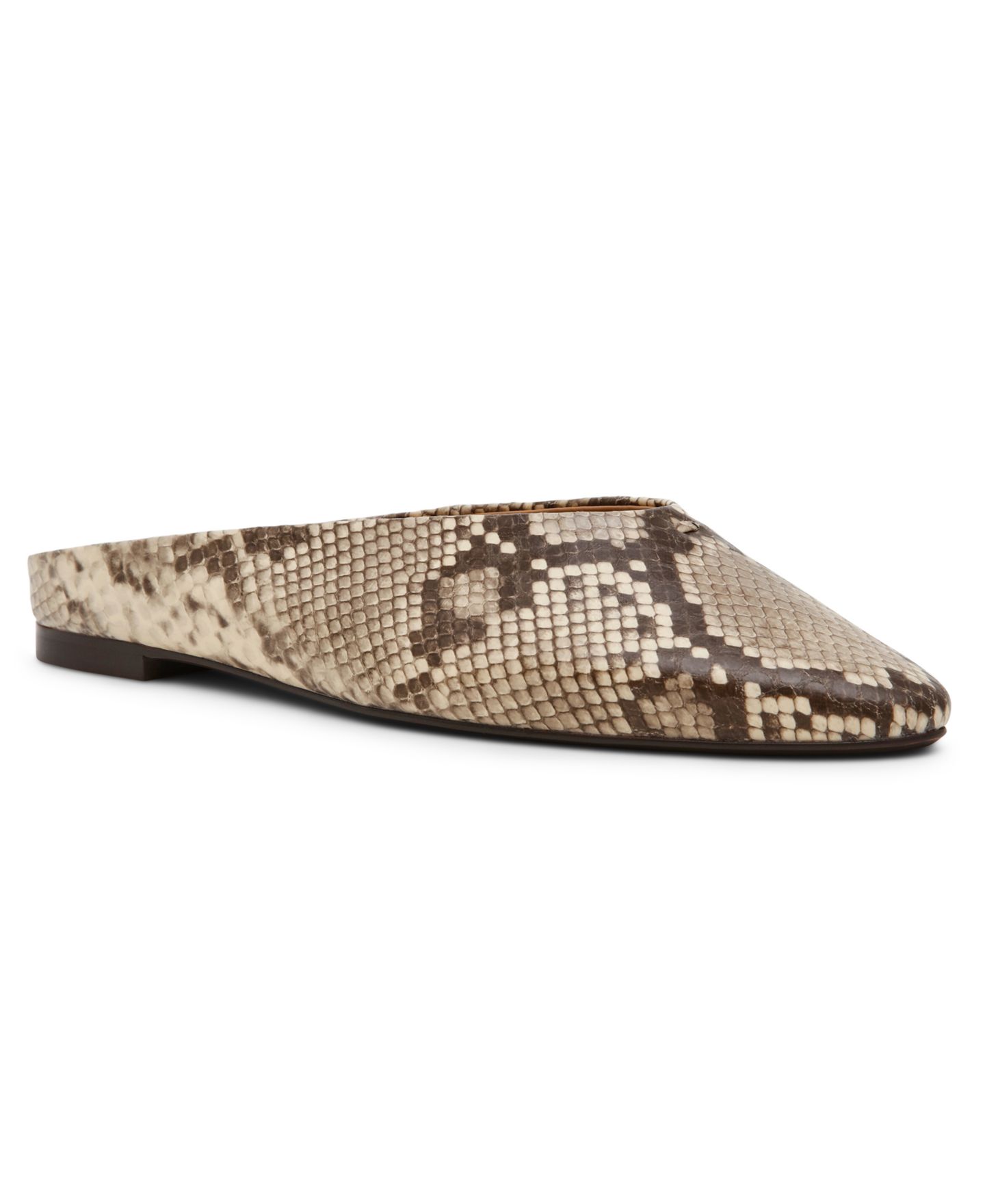 Женские сабо Steve Madden Sherman Round Toe Mule Flats, цвет: Змеиный разноцветный — фото 1