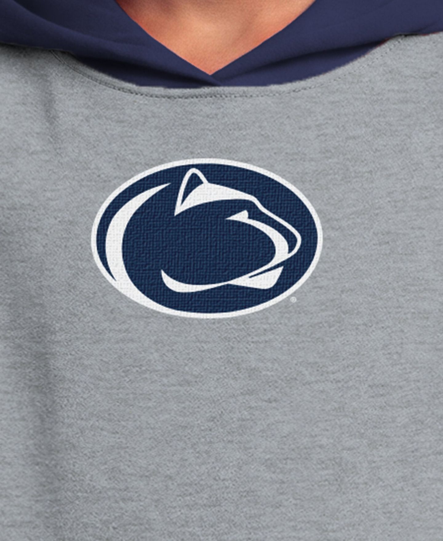 Детское худи Champion Heather Gray Penn State Nittany Lions Fleece — фото 5