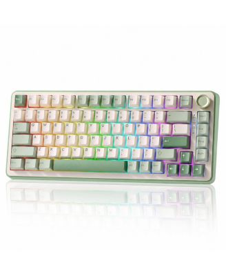 75 Percent Wireless Mechanical Keyboard Gasket Mount Hot Swappable RGB