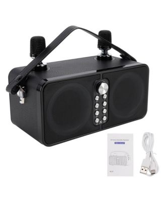 30W Bluetooth 5.3 Karaoke Speaker