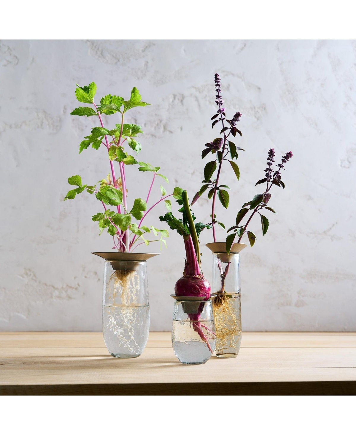 The Collective, Floral Propogate Assorted