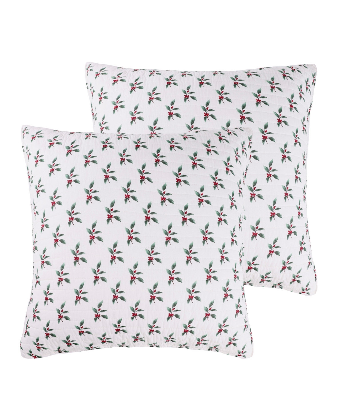 Levtex Home Berry Bloom 2-Piece Sham Set, European