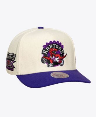 Men's and Women's Cream Toronto Raptors Cream Team Pro Adjustable Hat