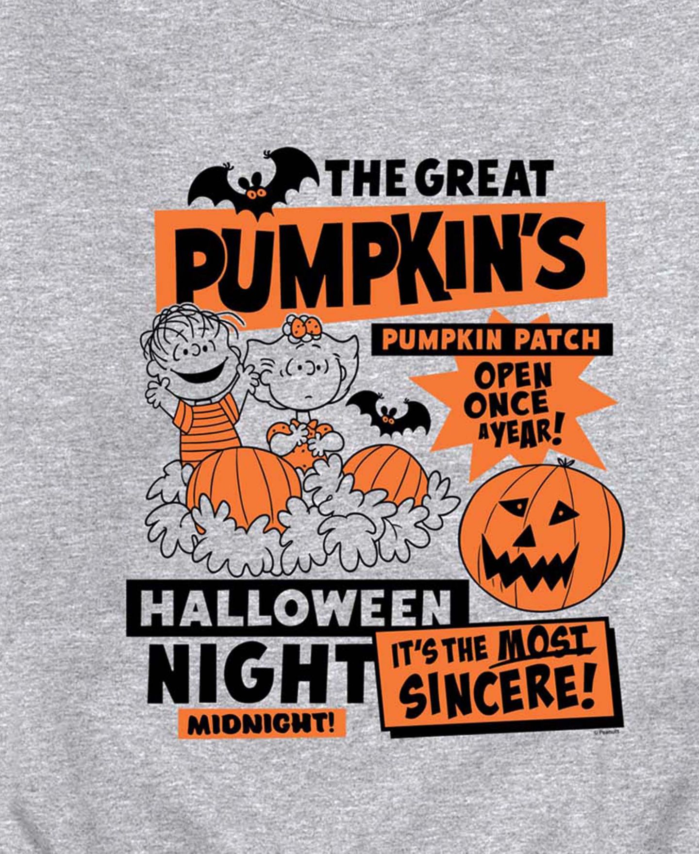 Мужская толстовка AIRWAVES The Great Pumpkins Pumpkin Patch Linus and Sally Graphic, цвет: Меланжевый — фото 3