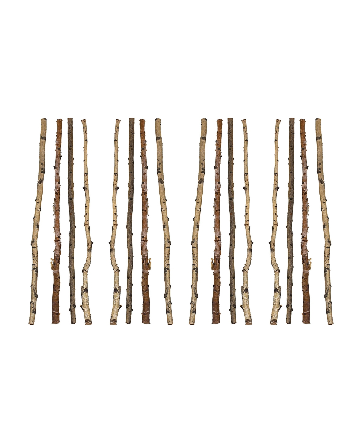 Storied Home Set of 16 Long Wood Birch Branches
