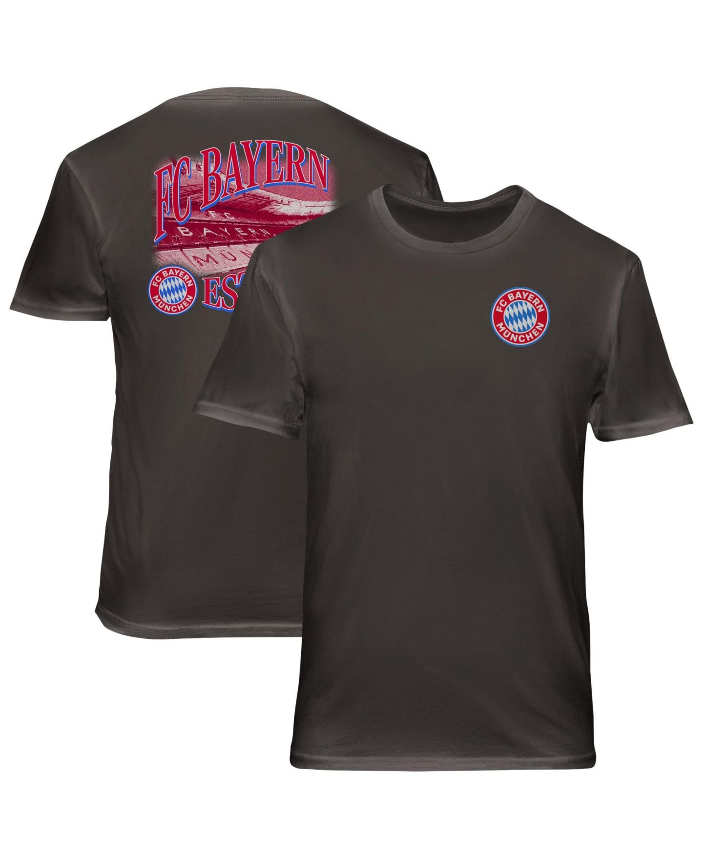 Мужские футболки 1863FC Gray Bayern Munich Duo-Tone Stadium Soft Wash — фото 1