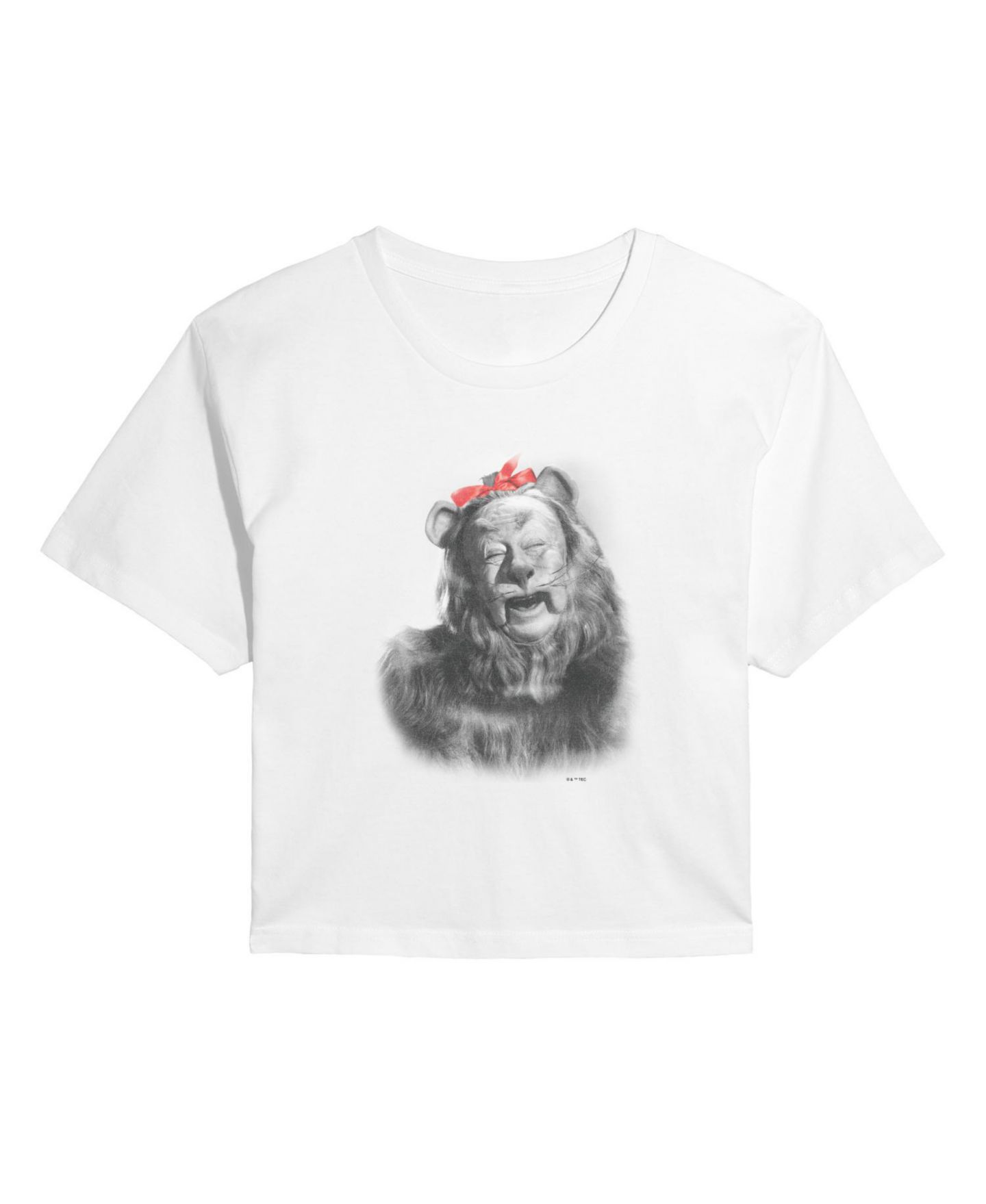 Женская футболка Wizard Of Oz Bow Lion Cropped Graphic, цвет: Белый — фото 3