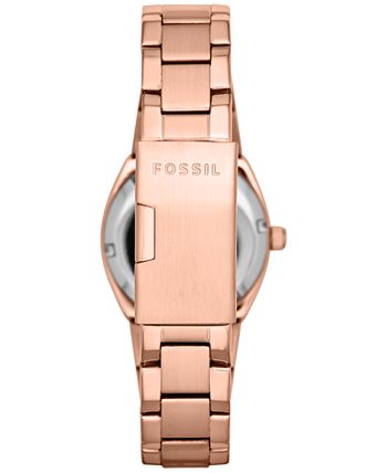 Am4508 fossil clearance