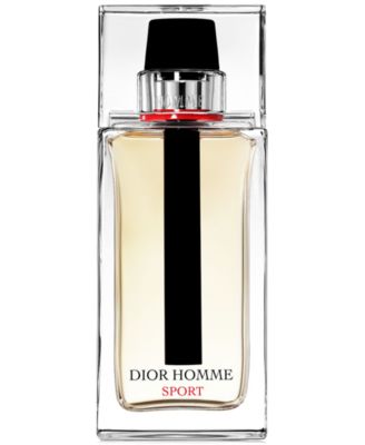 dior homme sport mini