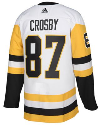 Sidney Crosby Pittsburgh Penguins Fanatics Branded 2023 Winter Classic  Player Jersey - Cream