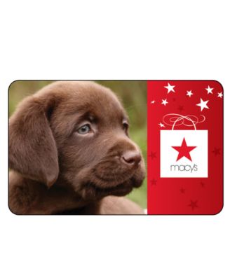 Macy's - Everyday Gift Card with Greeting Card
