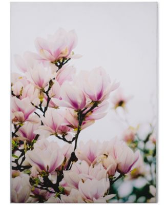 Graham & Brown - Magnolia Blossoms Canvas Print