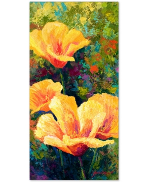 Trademark Global Marion Rose 'yellow Field Poppies' Canvas Art In No Color