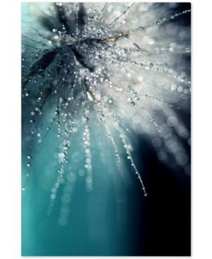 Trademark Global Beata Czyzowska Young 'morning Sonata' 30" X 47" Canvas Wall Art