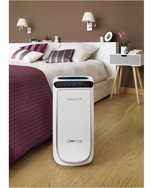 Rowenta PU6020 Intense Pure Air Auto XL Purifier & Reviews Wellness