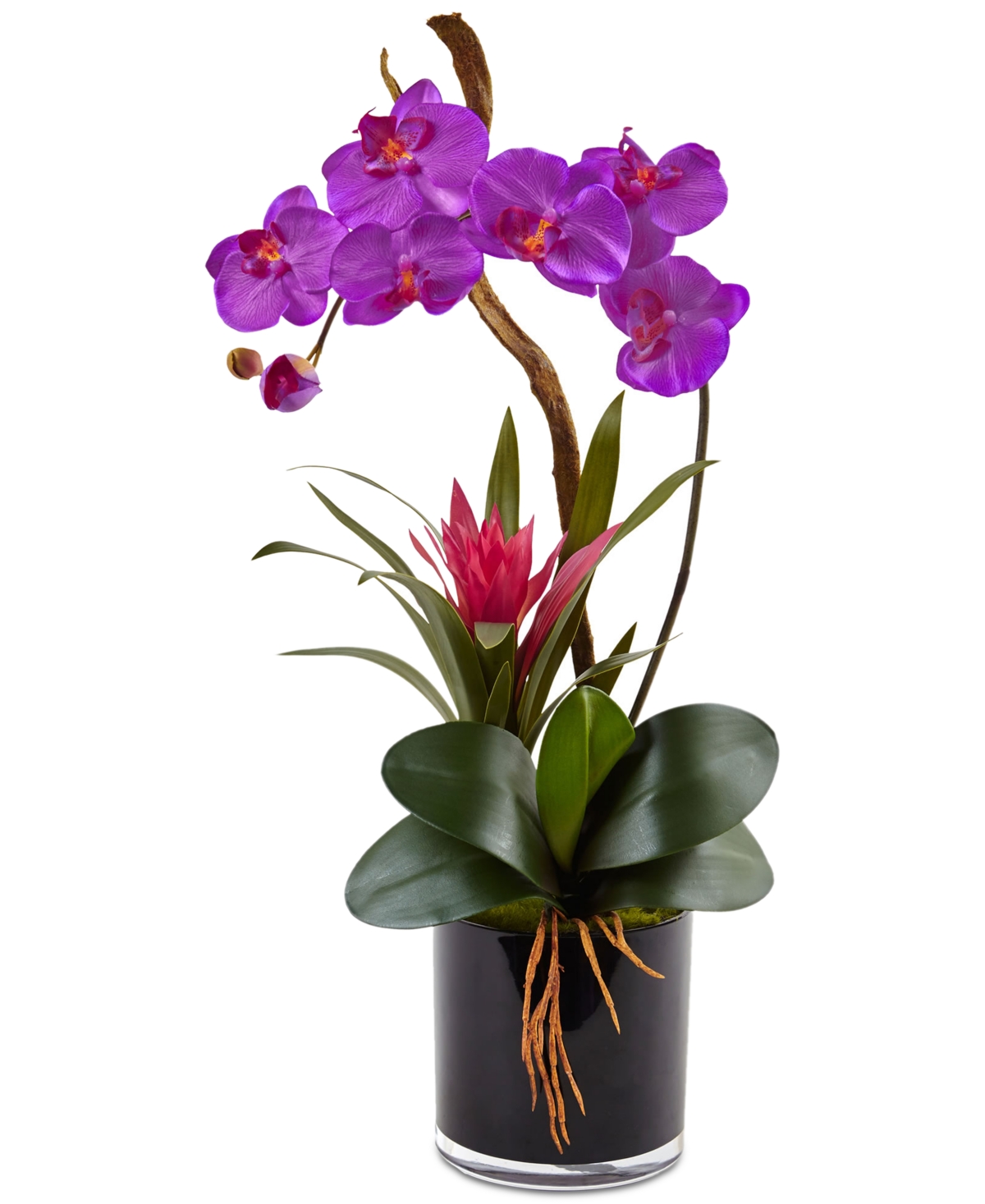 Dark Purple Orchid & Bromeliad Artificial Arrangement in Glossy Black Cylinder Vase - Dark Pink