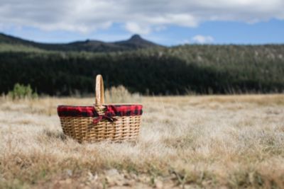 Country Red & Black Buffalo Plaid Picnic Basket