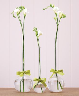 Two's Company - Sleek And Chic Set of 3 Teardrop Vases with Sage Green Ribbon Includes 3 Sizes