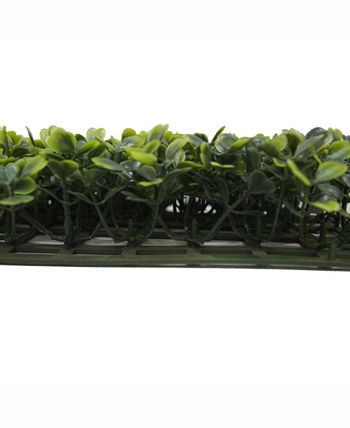 Vickerman - 50" BOXWOOD MATT