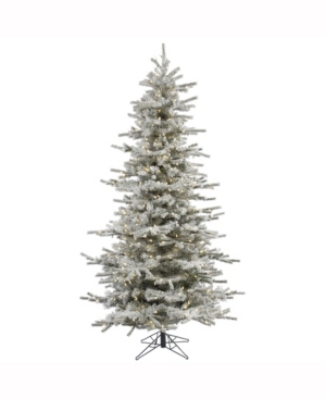 Vickerman 8.5' Flocked Sierra Fir Slim Artificial Christmas Tree With 850 Warm White Led Lights
