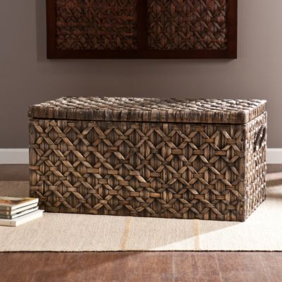 Water Hyacinth Storage Trunk