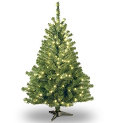 National Tree Company - National Tree 4' Kincaid Spruce Tree w/100 Clear Lights