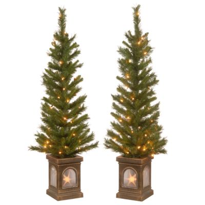National Tree Company - 4' Lehigh Valley Pine Entrance Tree in a  Dark Bronze Urn with 50 Clear Lights- Set of 2