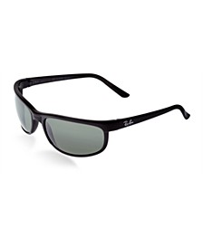 Polarized Sunglasses , RB2027 PREDATOR 2