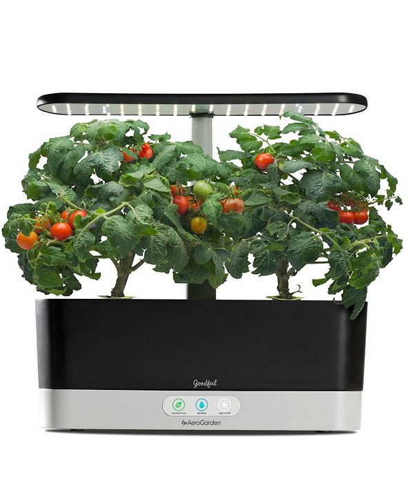 Goodful by AeroGarden Harvest Slim Countertop Garden & Gourmet Herbs Seed Kit & Reviews - Small ...