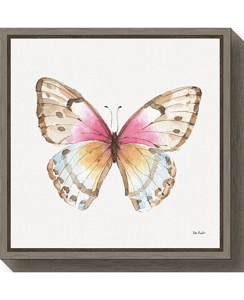 Amanti Art Colorful Breeze Xi Butterfly By Lisa Audit Canvas Framed