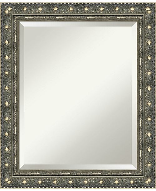 Amanti Art Barcelona 20x24 Bathroom Mirror & Reviews All Mirrors