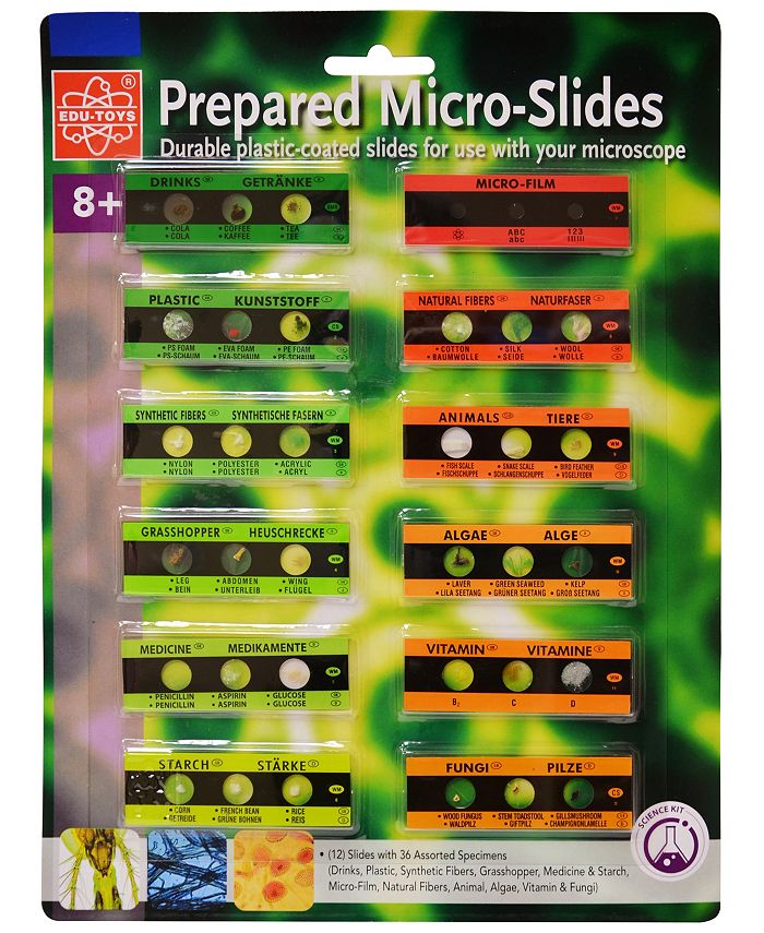 Redbox Edu Toys Prepared Microscope Micro Slides 12 Slides With 36 ...