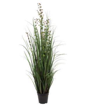Vickerman 48