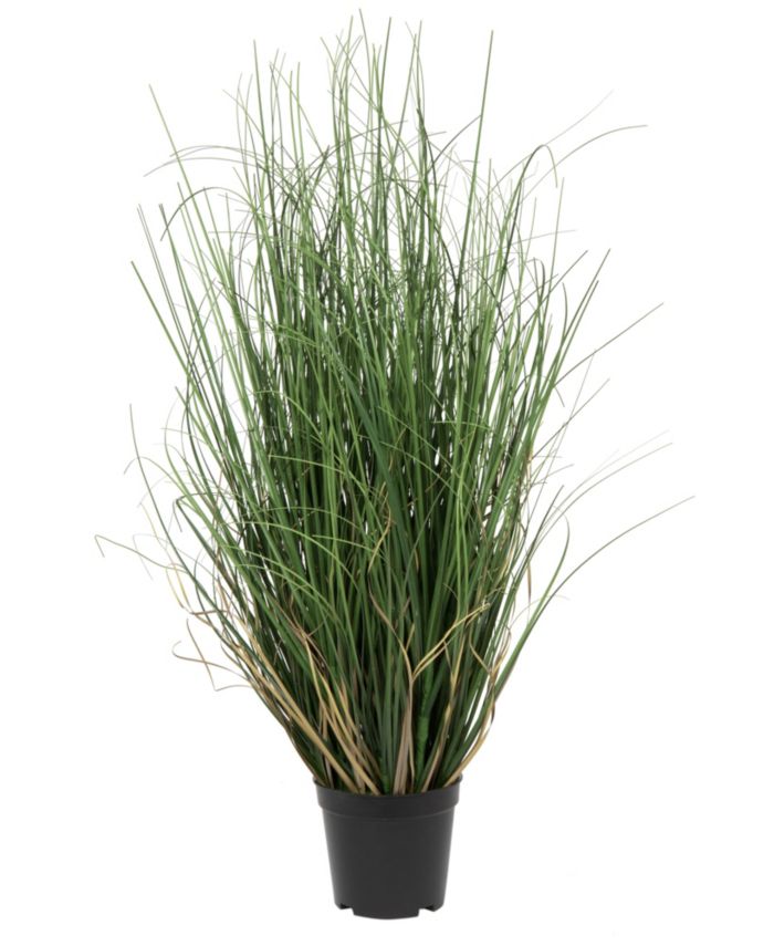 Vickerman 24" Pvc Artificial Potted Green Curled Grass X 560 & Reviews - Holiday Shop - Home - Macy's